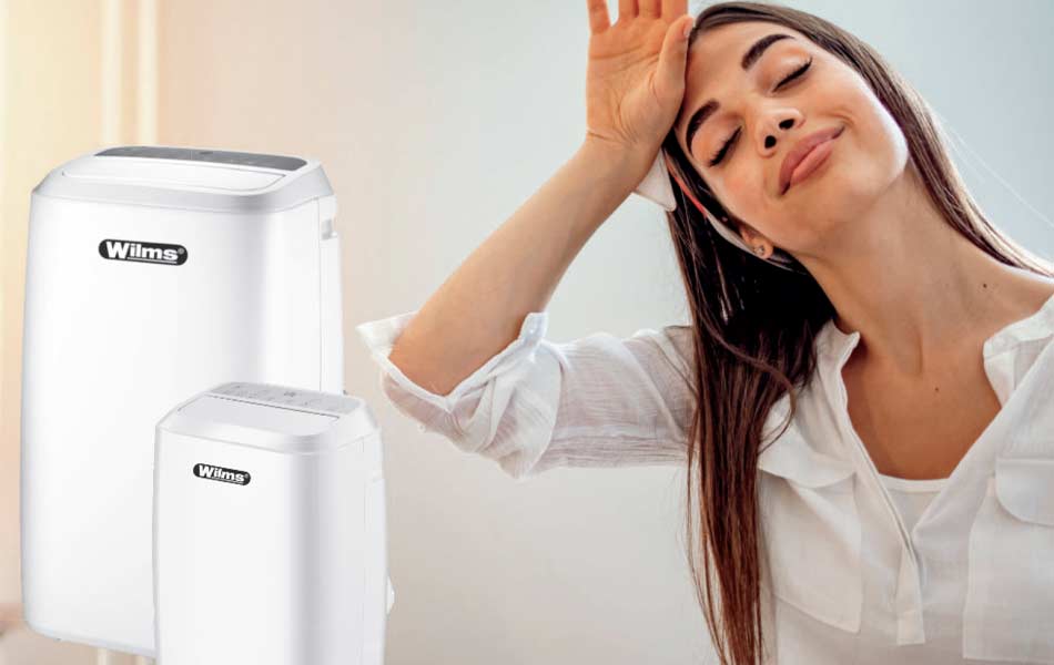 Vorschau Wilms Klima Katalog